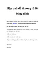 Hộp quà dễ thương từ lõi băng dính pot