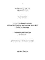 Luận văn:Các giải pháp tăng cường bảo hiểm xã hội tự nguyện cho nông dân ở tỉnh Quảng Nam pot