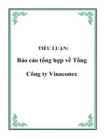 TIỂU LUẬN: Báo cáo tổng hợp về Tổng Công ty Vinaconex pdf