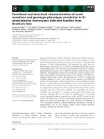 Báo cáo khoa học: Functional and structural characterization of novel mutations and genotype–phenotype correlation in 51 phenylalanine hydroxylase deﬁcient families from Southern Italy docx