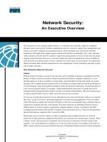 Network Security: An Executive Overview pptx