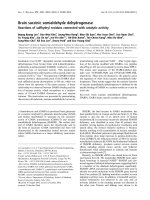 Báo cáo khoa học: Brain succinic semialdehyde dehydrogenase Reactions of sulfhydryl residues connected with catalytic activity pdf