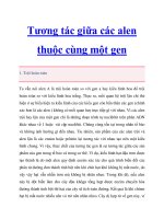 Tương tác giữa các alen thuộc cùng một gen pptx