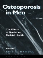Osteoporosis in Men: The Effects of Gender on Skeletal Health pot