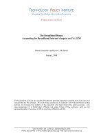 The Broadband Bonus: Accounting for Broadband Internet’s Impact on U.S. GDP potx