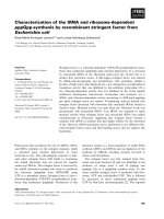 Báo cáo khoa học: Characterization of the tRNA and ribosome-dependent pppGpp-synthesis by recombinant stringent factor from Escherichia coli pot
