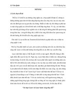 Tiểu luận: Quang học pot