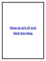 Dùng du lịch để kích thích bán hàng pptx