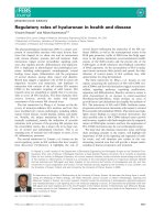 Báo cáo khoa học: Regulatory roles of hyaluronan in health and disease ppt