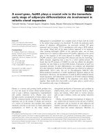 Báo cáo khoa học: A novel gene, fad49, plays a crucial role in the immediate early stage of adipocyte differentiation via involvement in mitotic clonal expansion docx