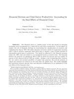 Financial Frictions and Total Factor Productivity: Accounting for the Real Effects of Financial Crises pot