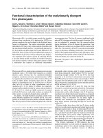 Báo cáo khóa học: Functional characterization of the evolutionarily divergent fern plastocyanin potx