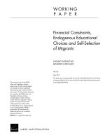 Financial Constraints, Endogenous Educational Choices And Self-selection Of Migrants doc