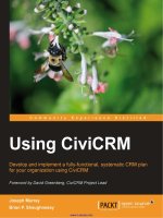 Using CiviCRM docx