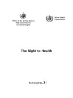 The Right to Health pdf