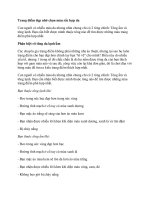 Trang điểm đẹp nhờ chọn màu sắc hợp da pdf