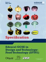 Edexcel GCSE in Design and Technology: Food Technology (2FT01) doc