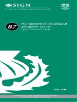 MANAGEMENT OF OESOPHAGEAL AND GASTRIC CANCER ppt