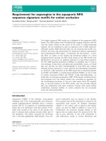Báo cáo khoa học: Requirement for asparagine in the aquaporin NPA sequence signature motifs for cation exclusion docx