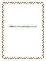 Bài thuốc chữa viêm họng từ quả trám doc