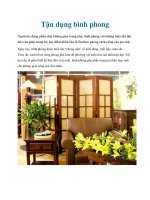 Tận dụng bình phong ppt
