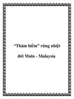 “Thám hiểm” rừng nhiệt đới Mulu - Malaysia potx
