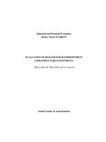 EVALUATION OF DEMAND FOR INTERDEPENDENT INFRASTRUCTURE INVESTMENTS doc