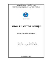 Một số giải pháp nâng cao chất lượng tín dụng tài trợ dự án đầu tư tại ngân hàng TMCP Sài Gòn Thương Tín chi nhánh Hải Phòng