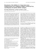 Báo cáo Y học: Determinants of the inhibition of a Taiwan habu venom metalloproteinase by its endogenous inhibitors revealed by X-ray crystallography and synthetic inhibitor analogues pdf