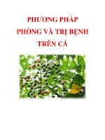 PHƯƠNG PHÁP PHÒNG VÀ TRỊ BỆNH TRÊN CÁ pot