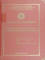 hệ thống quy chế quản lý nhập khẩu của hoa kỳ và giải pháp đẩy mạnh xuất khẩu hàng hóa của việt nam