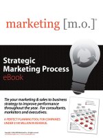 Strategic Marketing Process eBook doc
