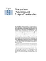 Plant physiology - Chapter 9 Photosynthesis: Physiological and Ecological Considerations pptx
