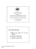 Nguyên nhân suy thoái môi trường pptx