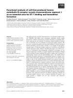 Báo cáo khoa học: Functional analysis of cell-free-produced human endothelin B receptor reveals transmembrane segment 1 as an essential area for ET-1 binding and homodimer formation pptx