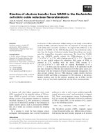 Báo cáo khoa học: Kinetics of electron transfer from NADH to the Escherichia coli nitric oxide reductase ﬂavorubredoxin pdf