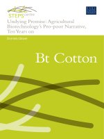 Undying Promise: Agricultural Biotechnology’s Pro-poor Narrative, Ten Years on