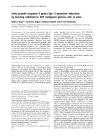 Báo cáo Y học: Early growth response-1 gene (Egr-1 ) promoter induction by ionizing radiation in U87 malignant glioma cells in vitro pot