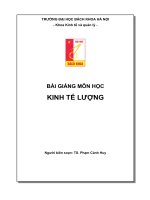 bài giảng kinh tế lượng