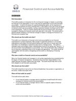 Financial Control and Accountability potx