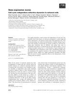 Báo cáo khoa học: Gene expression waves Cell cycle independent collective dynamics in cultured cells doc
