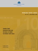 Working PaPer SerieS no 967 / november 2008: Central bank miSPerCePtions and the role of money in interest rate rules pptx