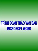 TRÌNH SOẠN THẢO VĂN BẢN MICROSOFT WORD pptx