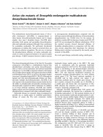 Báo cáo khoa học: Active site mutants of Drosophila melanogaster multisubstrate deoxyribonucleoside kinase pot