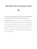 Bài thuốc chữa viêm họng do thời tiết potx