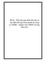 luận văn kế toán quá trình tiêu thụ và xác định kết quả kinh doanh tại công ty tnhh 1 thành viên tmdv tin học thế lân