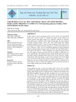 ẢNH HƯỞNG CỦA CÁC MỨC NITƠ KHÁC NHAU LÊN SINH TRƯỞNG, HÀM LƯỢNG PROTEIN VÀ LIPID CỦA TẢO Spirulina platensis (Geitler, 1925) NUÔI TRONG NƯỚC MẶN pot