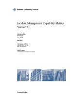 Incident Management Capability Metrics Version 0.1 docx