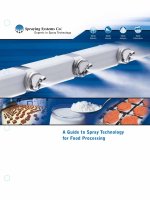 A Guide to Spray Technology for Food Processing pptx