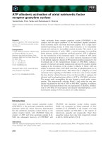 Báo cáo khoa học: ATP allosteric activation of atrial natriuretic factor receptor guanylate cyclase pot